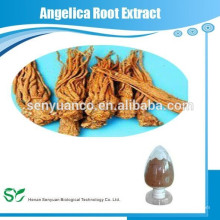 HPLC 100% natürliches GMP Angelica root Verhältnis Extrakt 10: 1